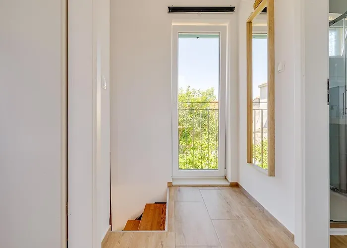 House Crassula Murter