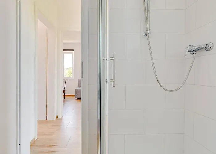 House Crassula 무르테르