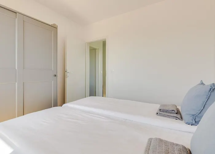 House Crassula * 무르테르