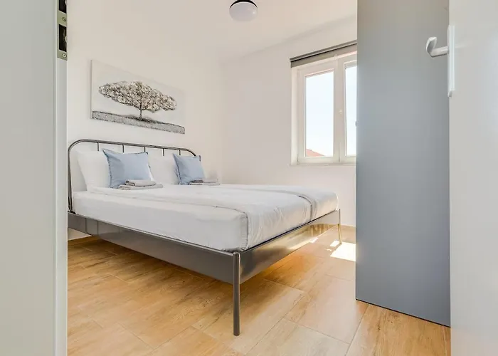 House Crassula Murter