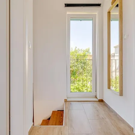 House Crassula Murter